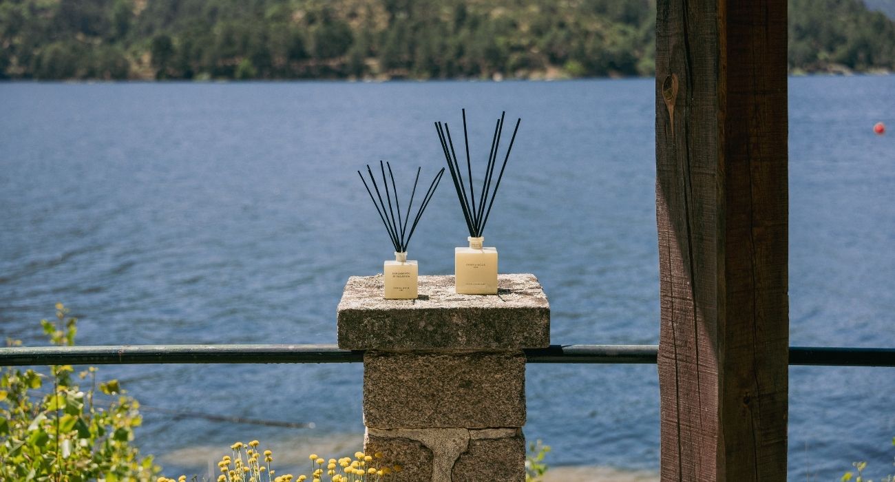 Ambientadores mikado vs. sprays: ¿cuál es mejor para tu estilo de vida?