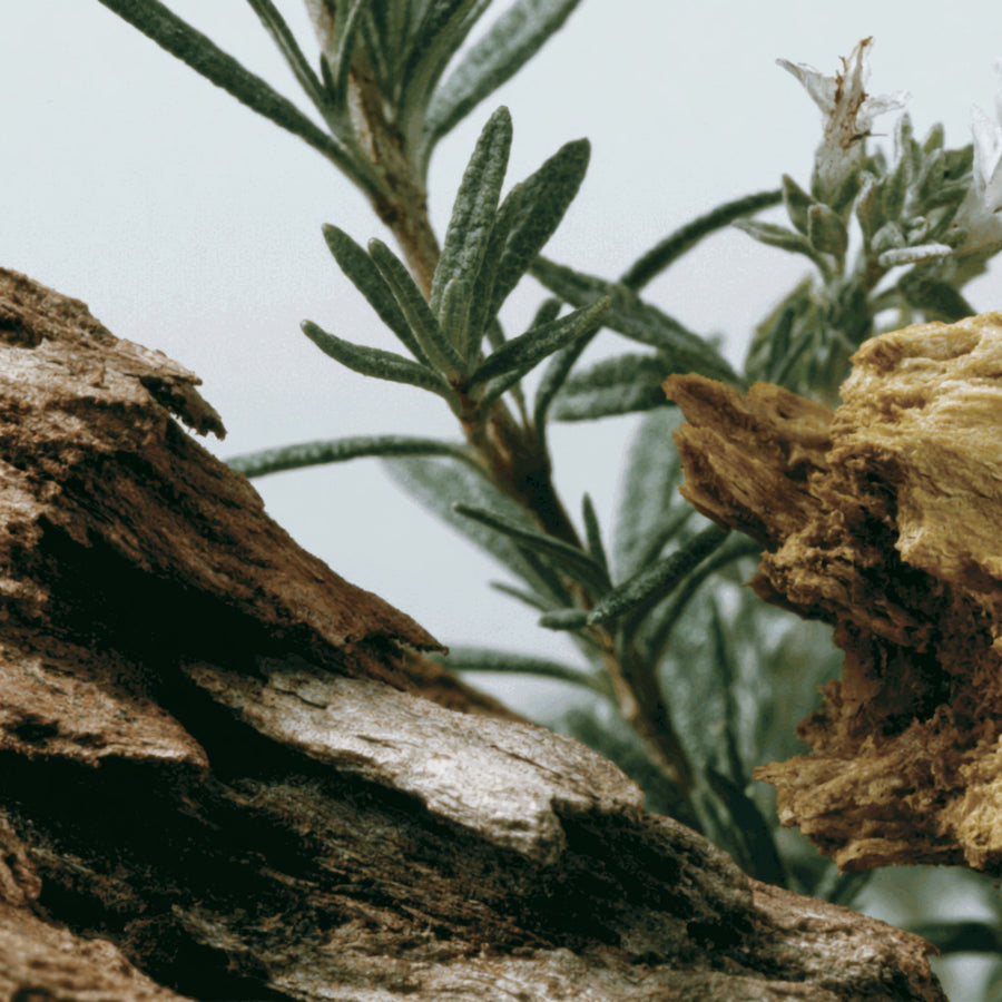 Natural Cedarwood