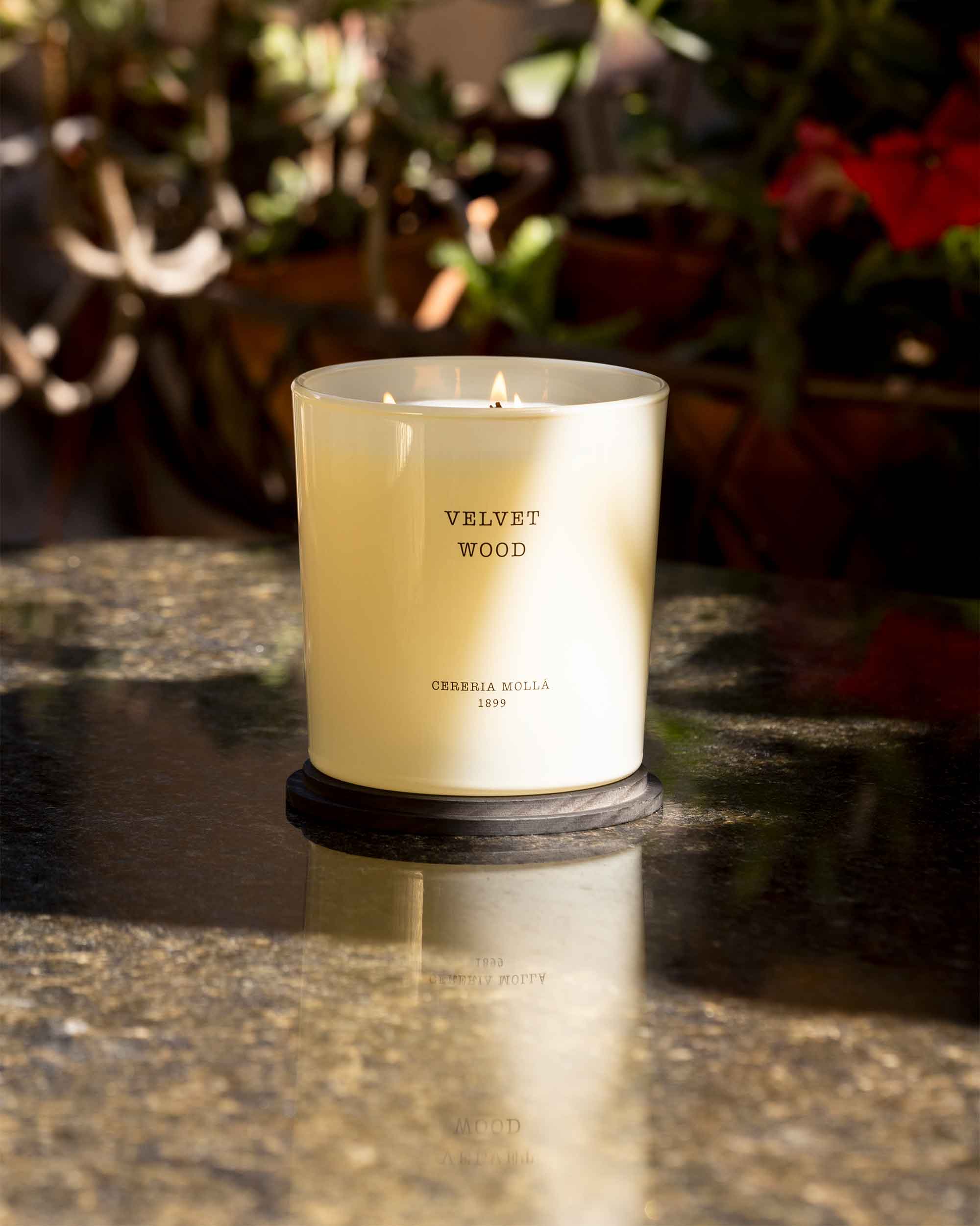 Vela Velvet Wood XL