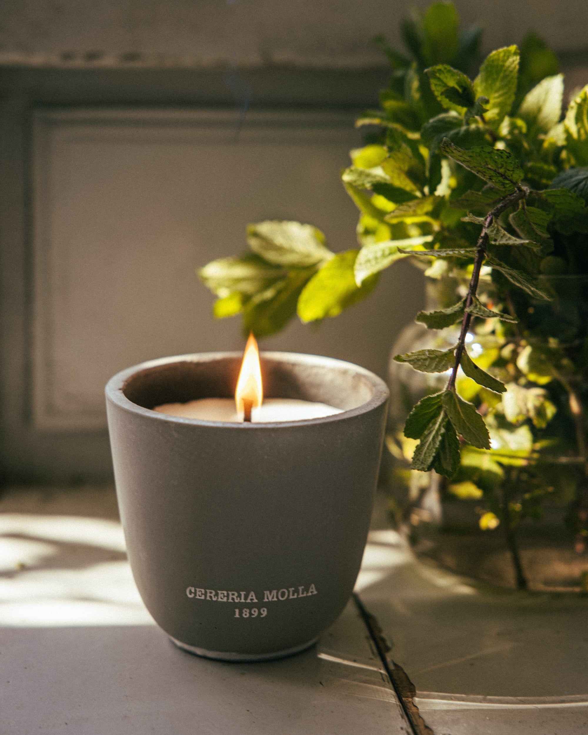 Vela Stone Collection Citronella & Mint — Artesanal & Edición Limitada