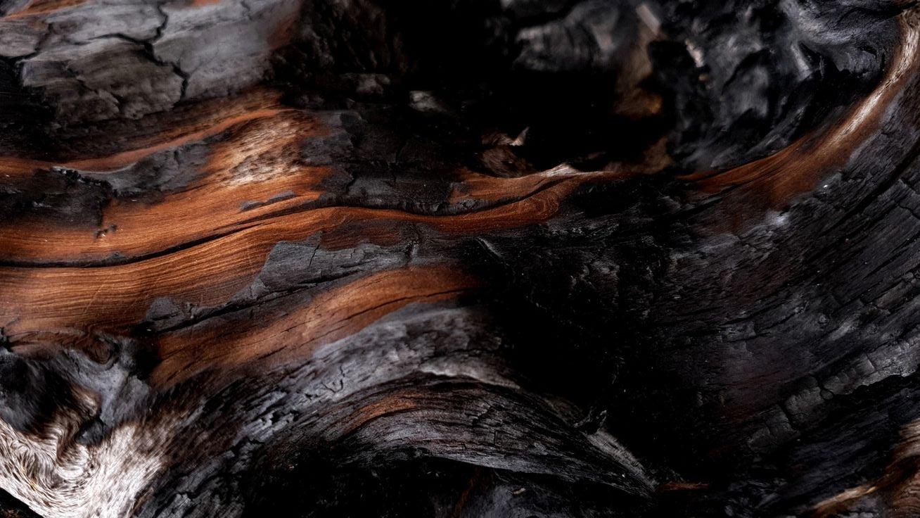 Velas Amber & Sandalwood