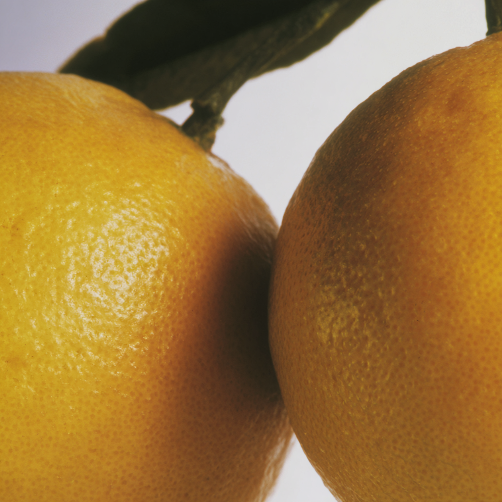 Body Mist Frutales & Cítricos