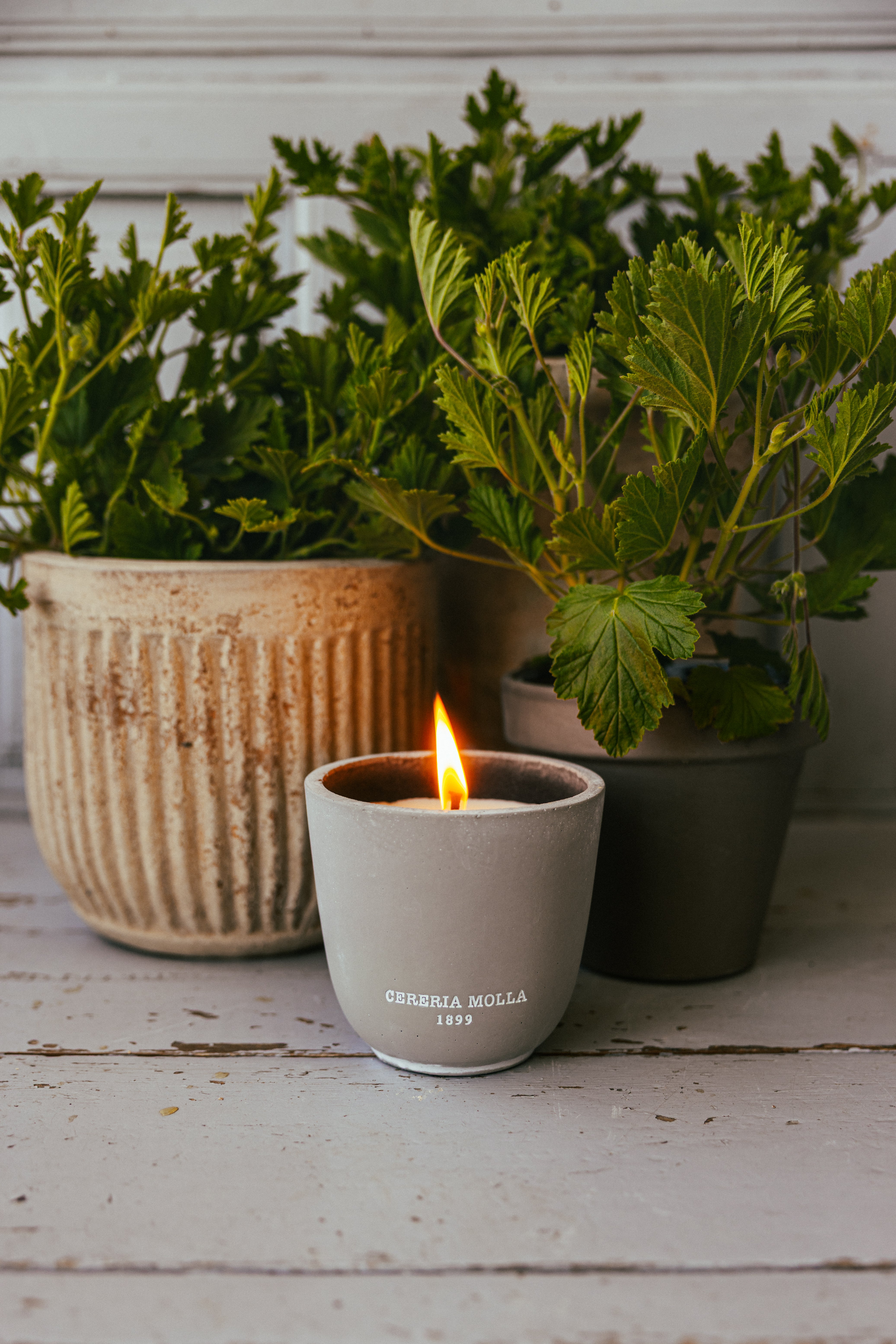 2S7A7783.jpg__PID:4d308781-be4e-4107-beb3-8d0011f5bab8