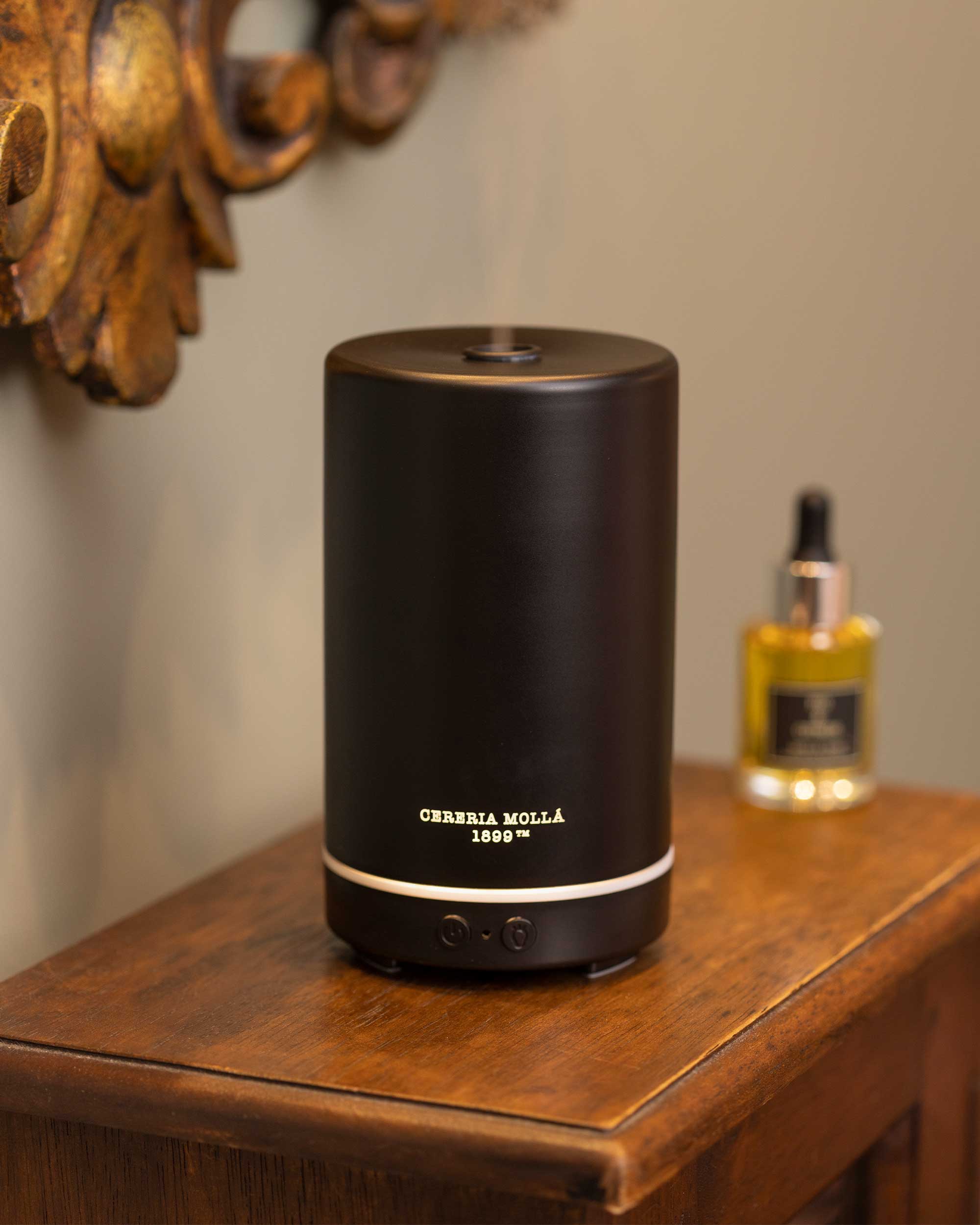 Brumizador Eléctrico