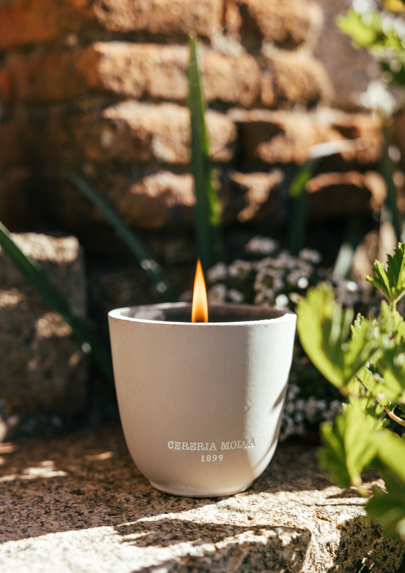 KLAVIYO 5 - NEWSLETTER (3).jpg__PID:421bc8de-e60b-4d30-8781-be4e21077eb3