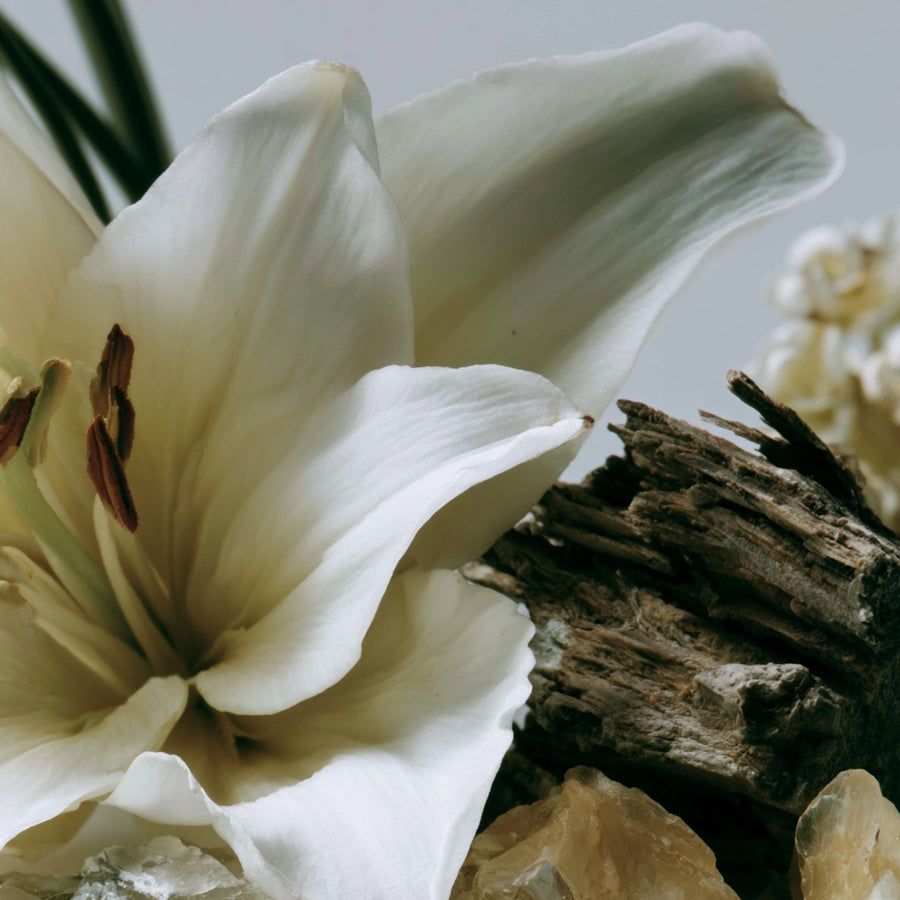 Lily & Musk
