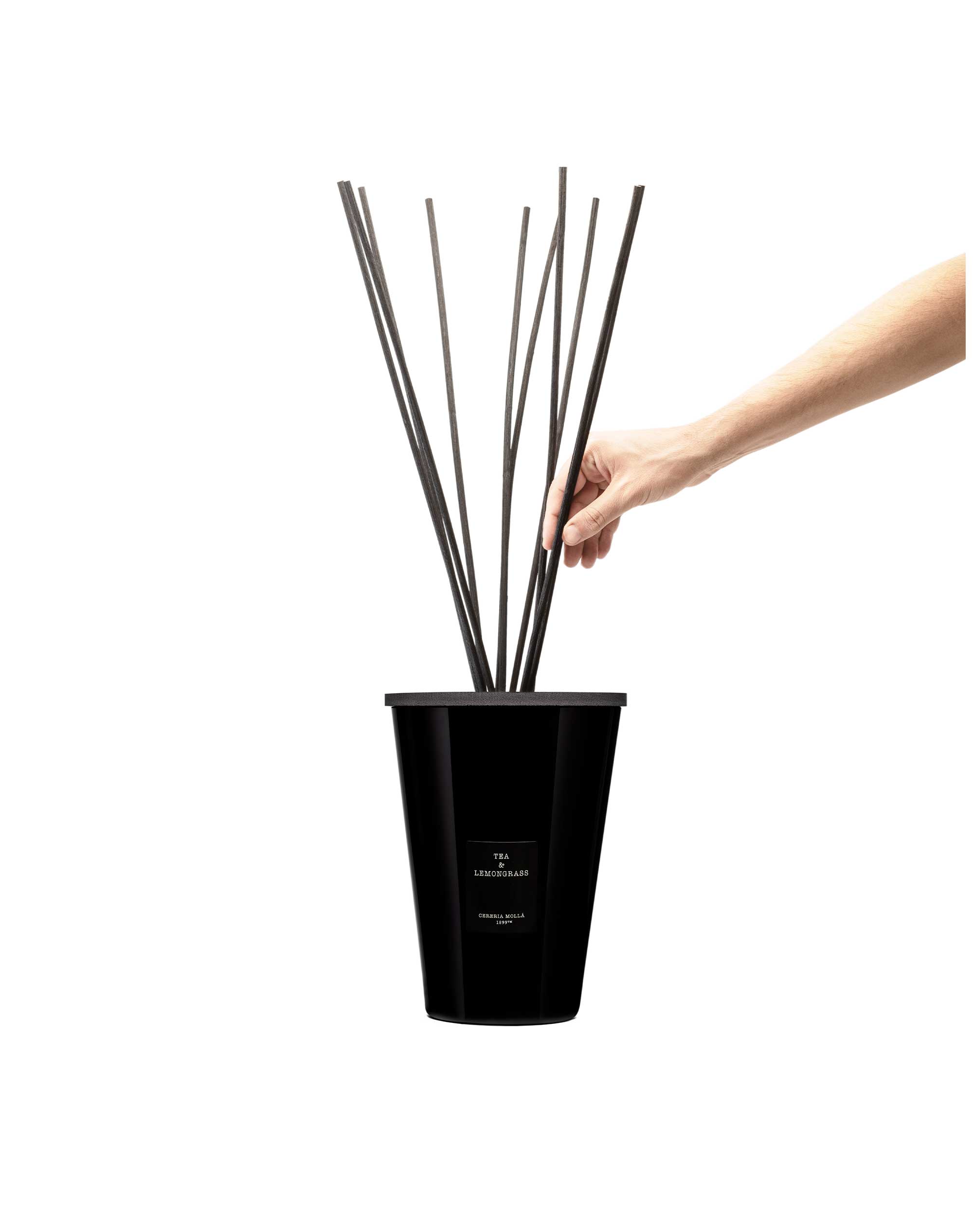 Mikado Tea & Lemongrass 3000ml