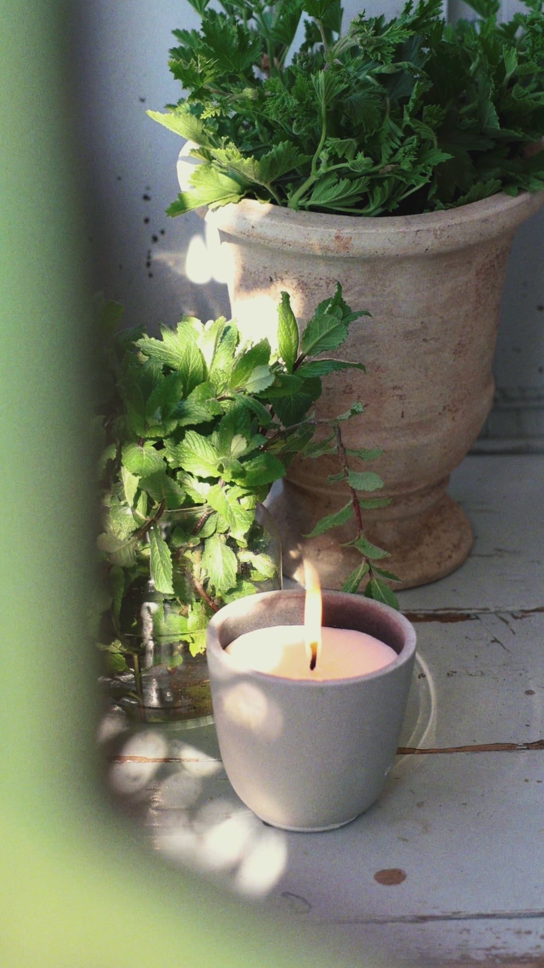 REEL 1.mp4__PID:e60b4d30-8781-4e4e-a107-7eb38d0011f5