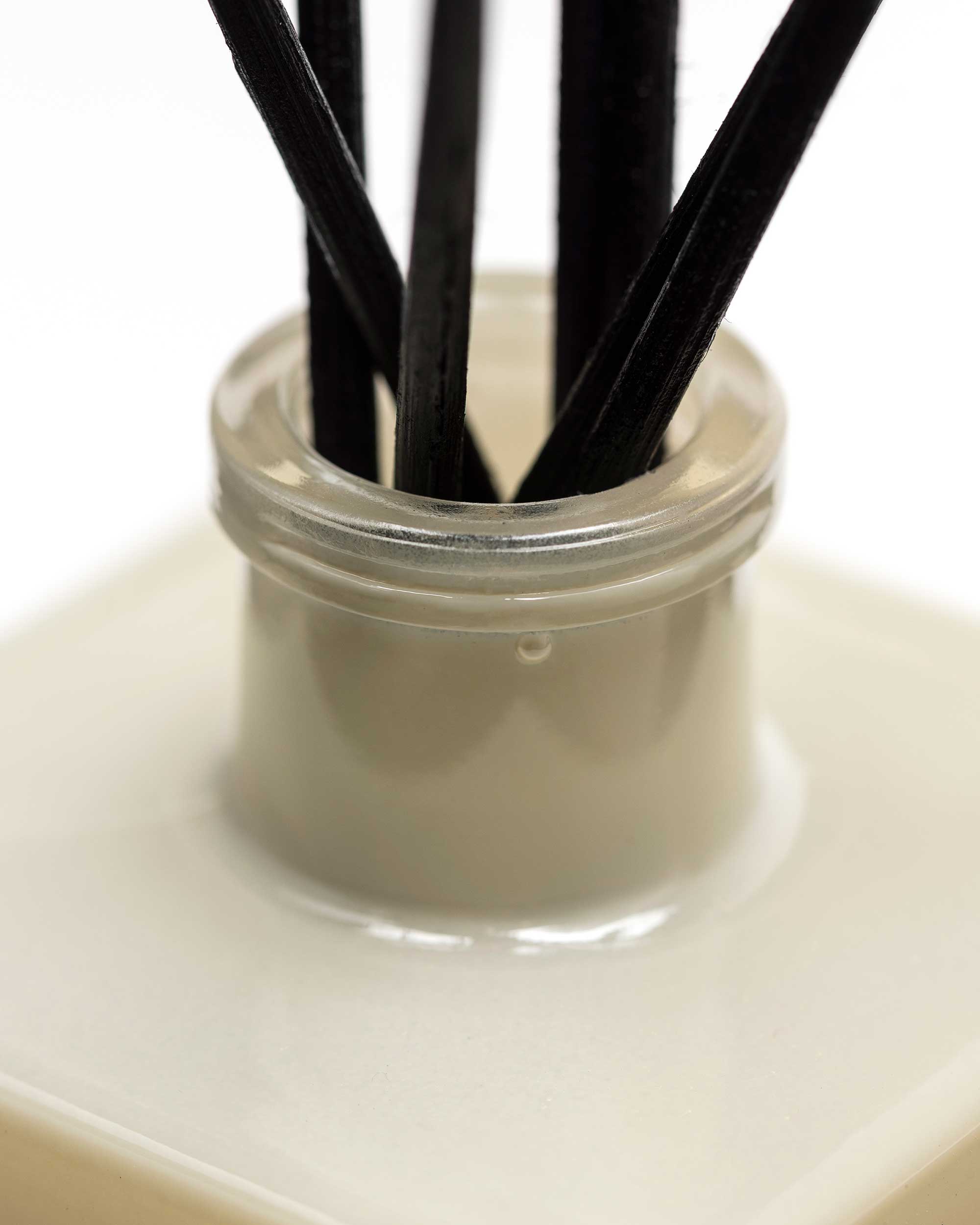 Mikado Moroccan Cedar 100ml