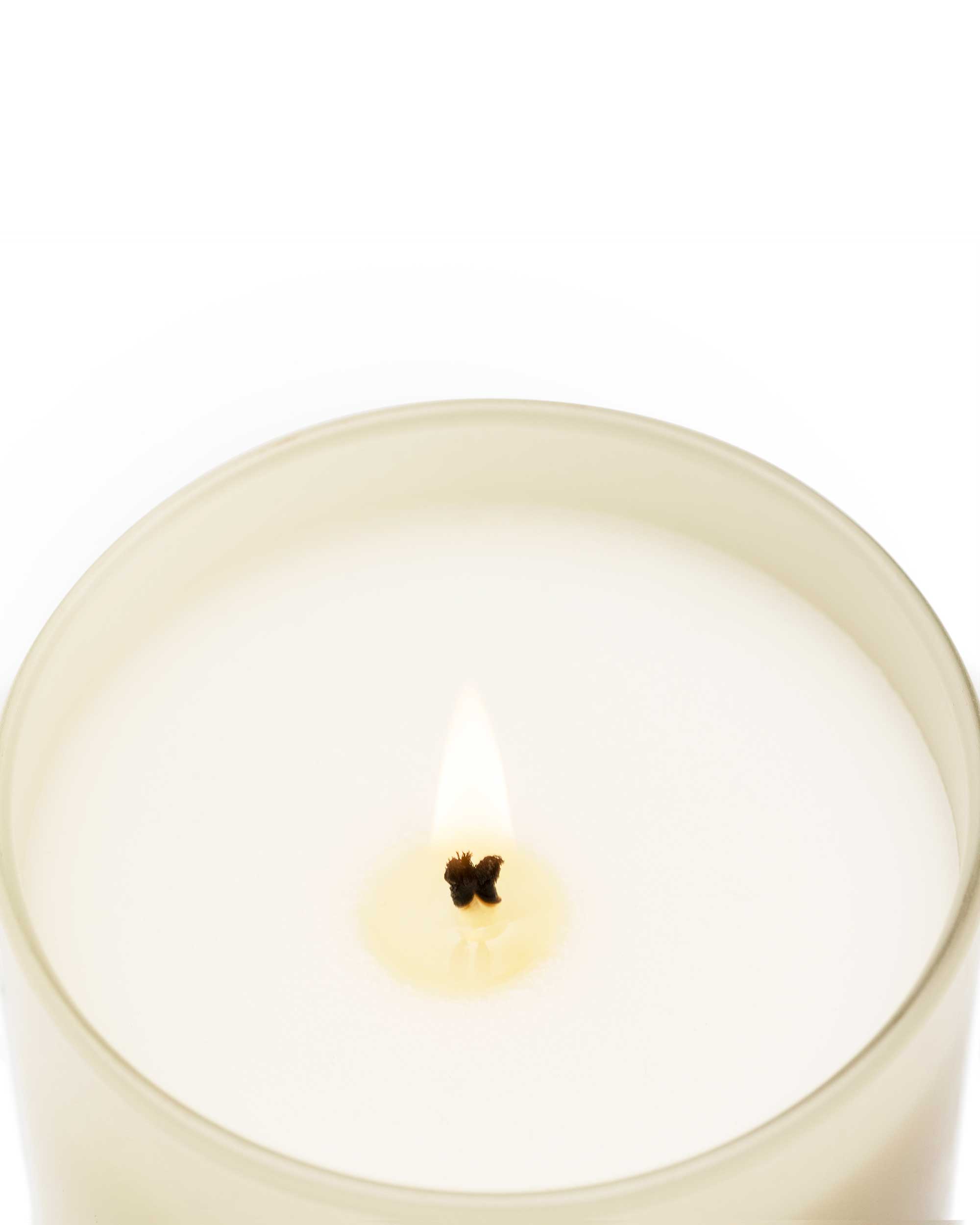 Velvet Wood 230g Candle