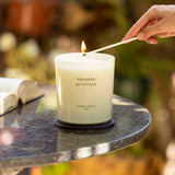 Vela Verbena Di Sicilia XL